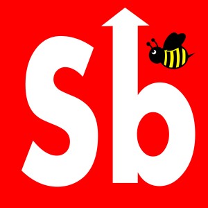 SILSDENBUZZ LOGO