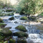 dscf0473-2